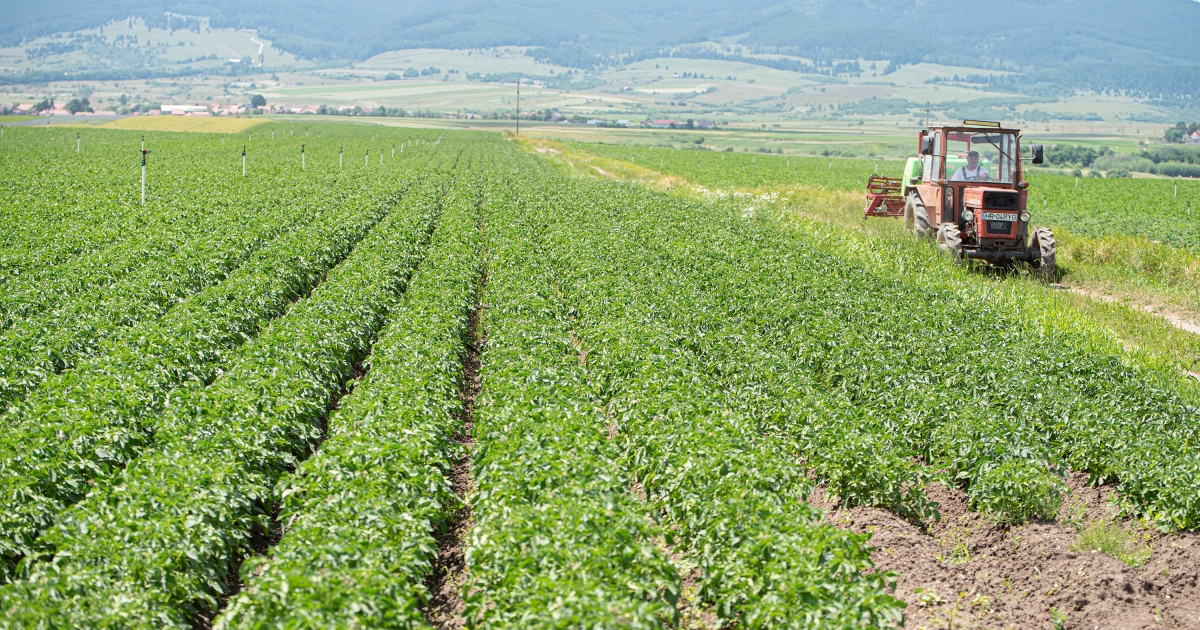 A tavaszt egyenlőtlen csapadékeloszlás jellemezte